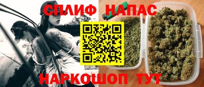 СК Гусев