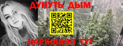 сатива Гусь-Хрустальный