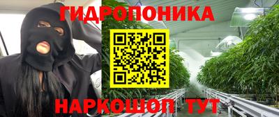 сатива Гусь-Хрустальный