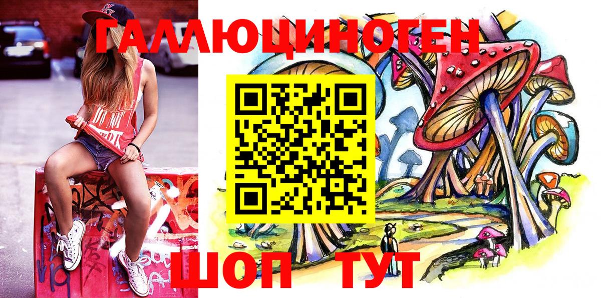Галлюциногенные грибы Psilocybine cubensis Карпинск